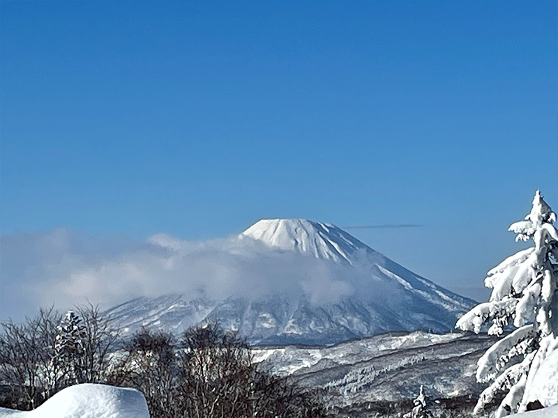 ニセコ連峰と雪景色を望むリゾート送迎のイメージ